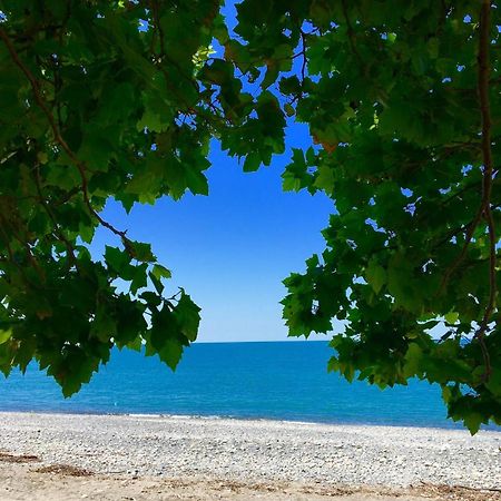 New Athos Guesthouse U Moti المظهر الخارجي الصورة